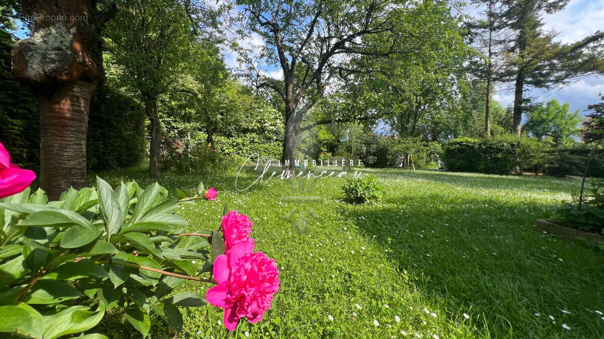Maison à VILLENNES-SUR-SEINE