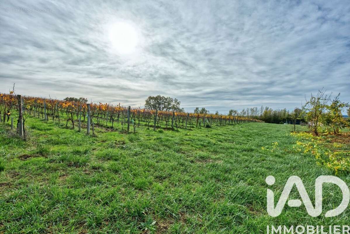 Photo 2 - Maison à VERDELAIS