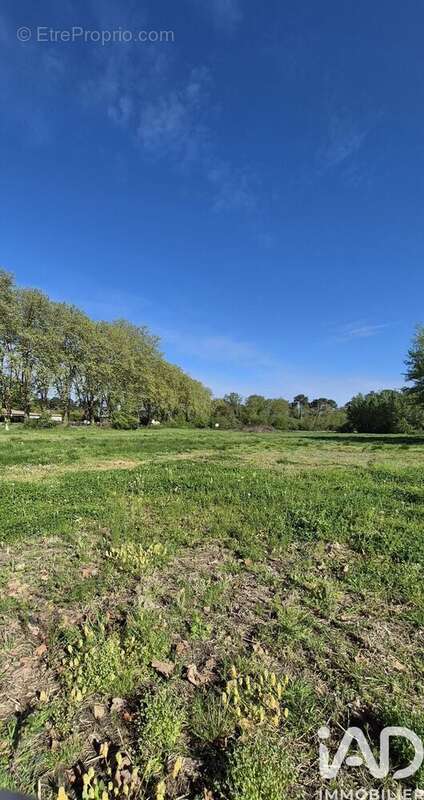 Photo 2 - Terrain à SAINT-MEDARD-D'EYRANS