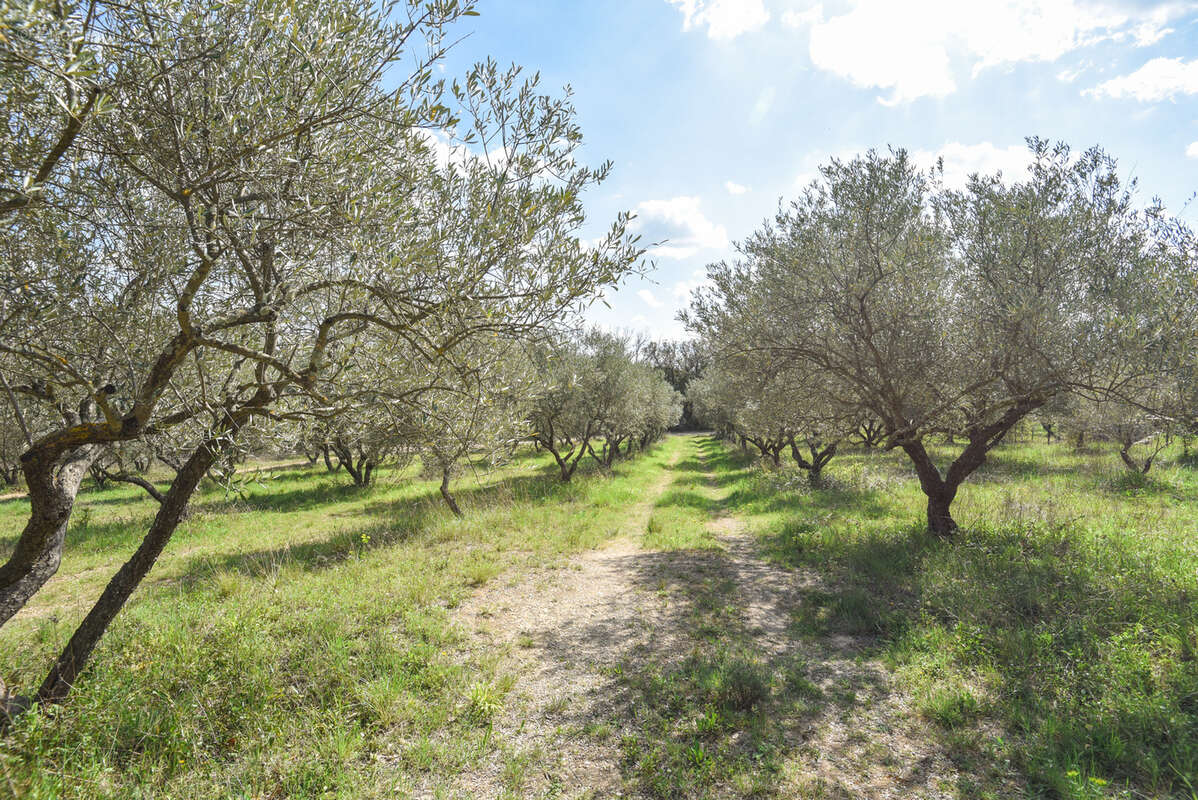 Maison à VILLECROZE