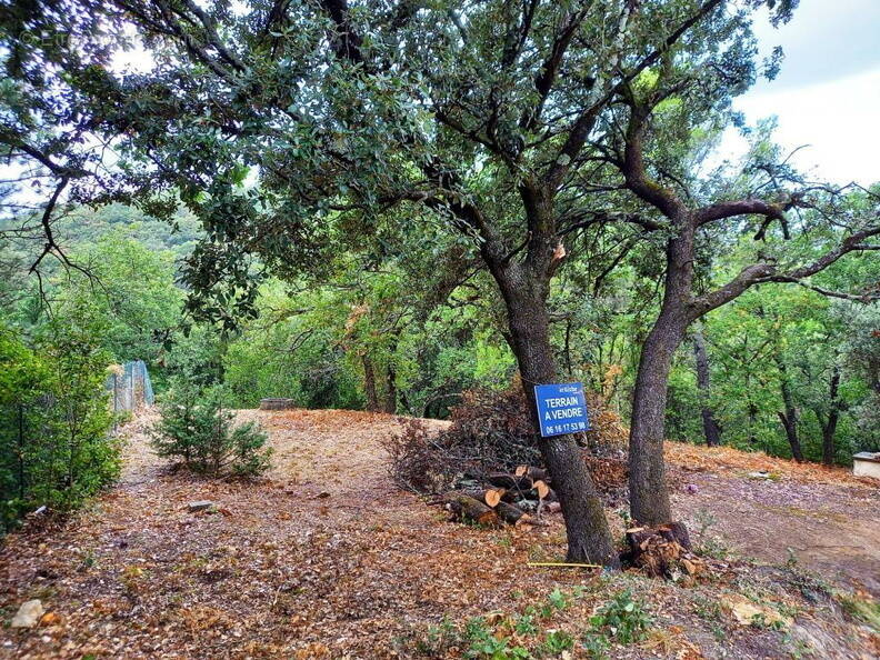 Terrain à SAINT-MONTAN