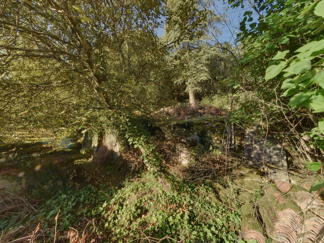 Maison à SAINT-FORTUNAT-SUR-EYRIEUX