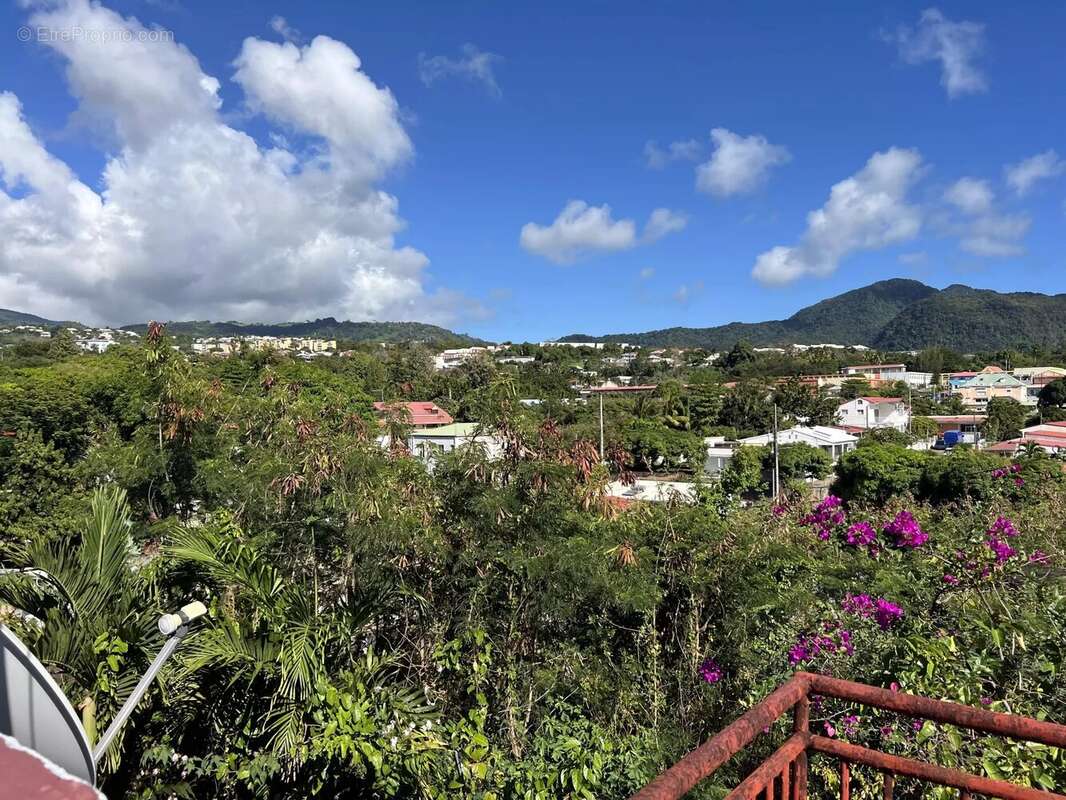 Maison à BASSE-TERRE