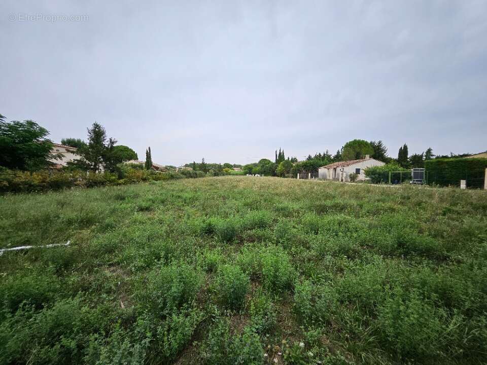 Terrain 600 m² à Fontvieille  - photo 2