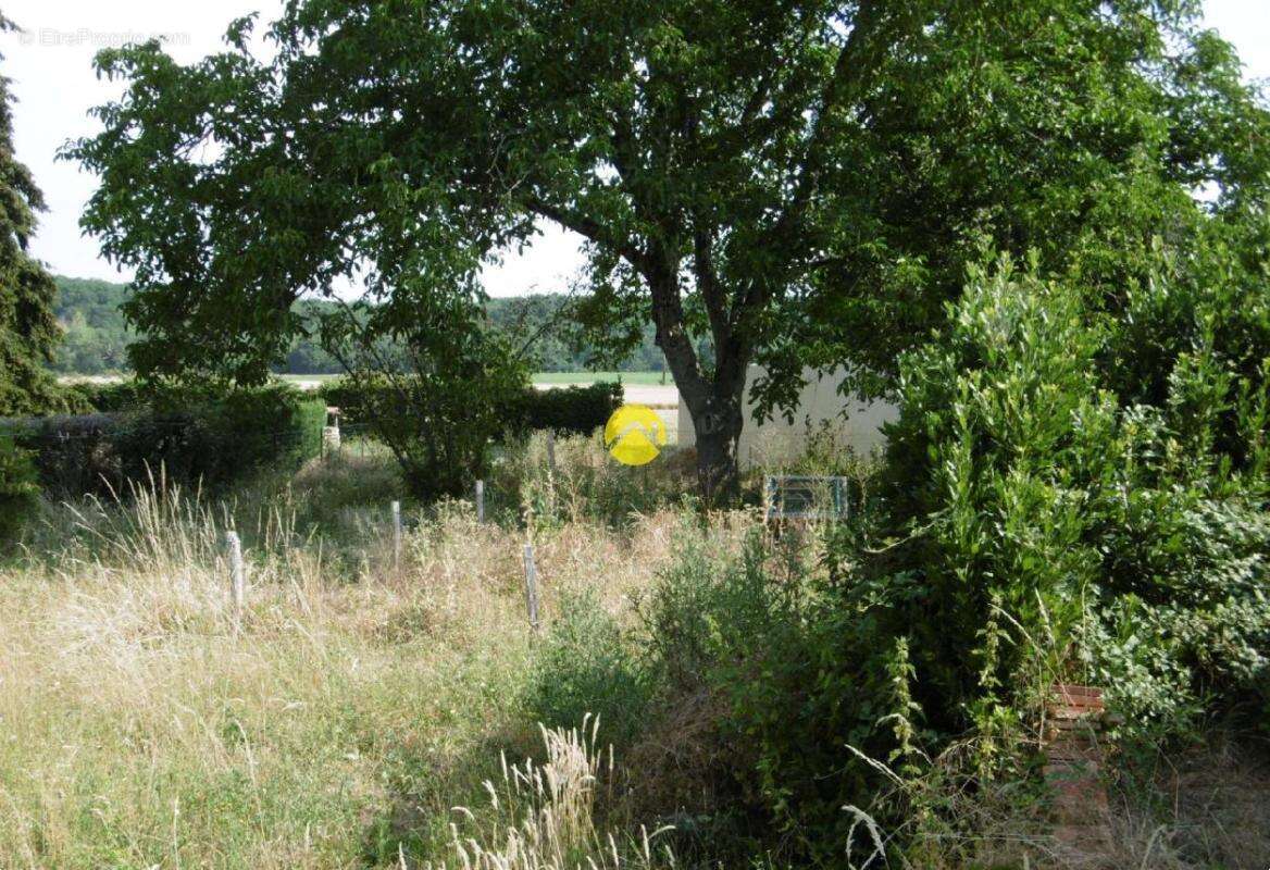 Maison de campagne - photo 13