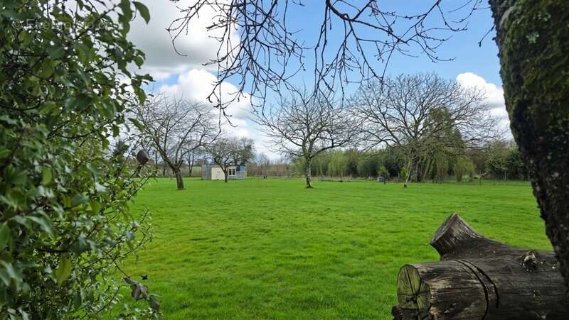 Maison à PLELAN-LE-GRAND