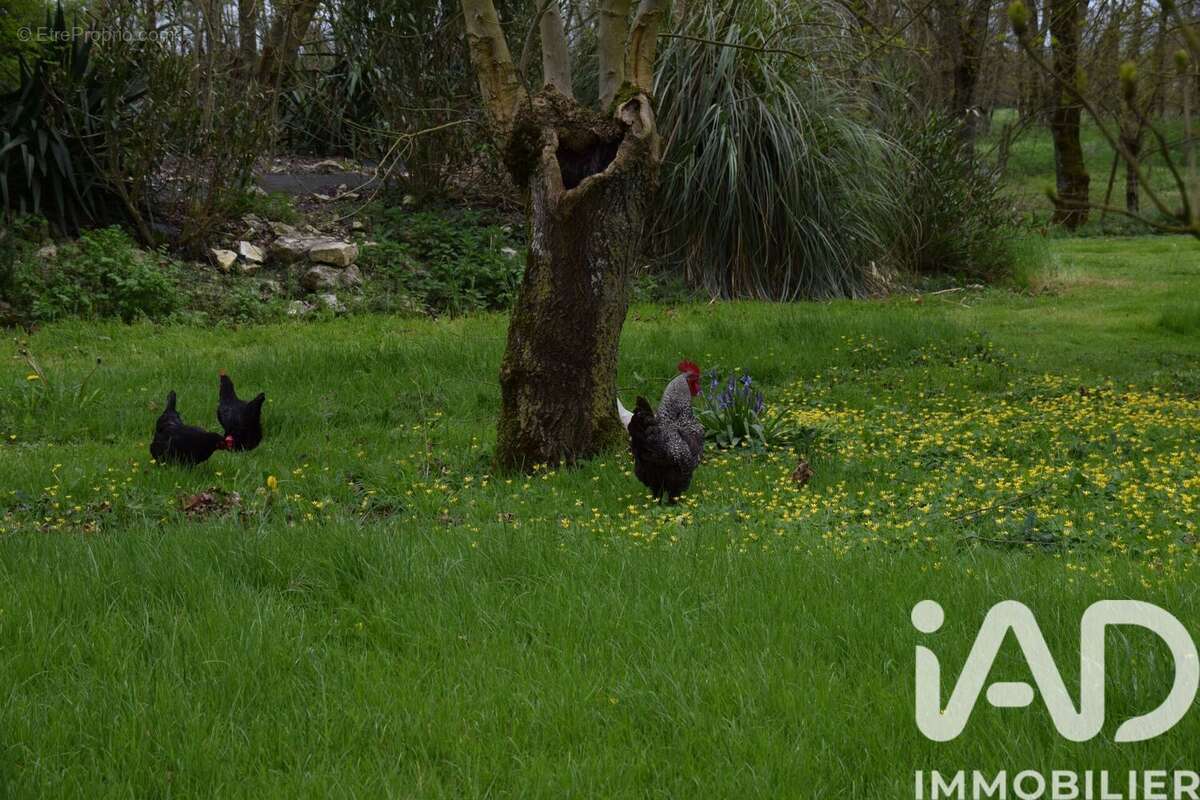 Photo 4 - Maison à SAINT-JEAN-DE-LIVERSAY