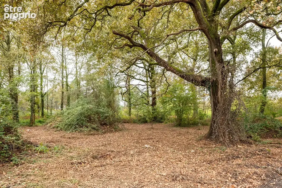 Maison de 90 m² à Rénover  Pouydesseaux - photo 14