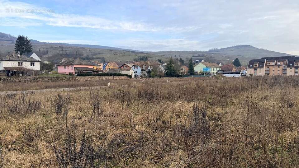 Terrain à SOULTZMATT