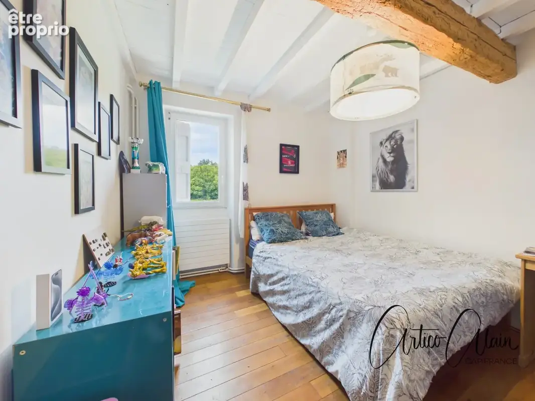 Maison bourgeoise XIXᵉ – 331 m² – appartement indépendant – piscine - photo 9