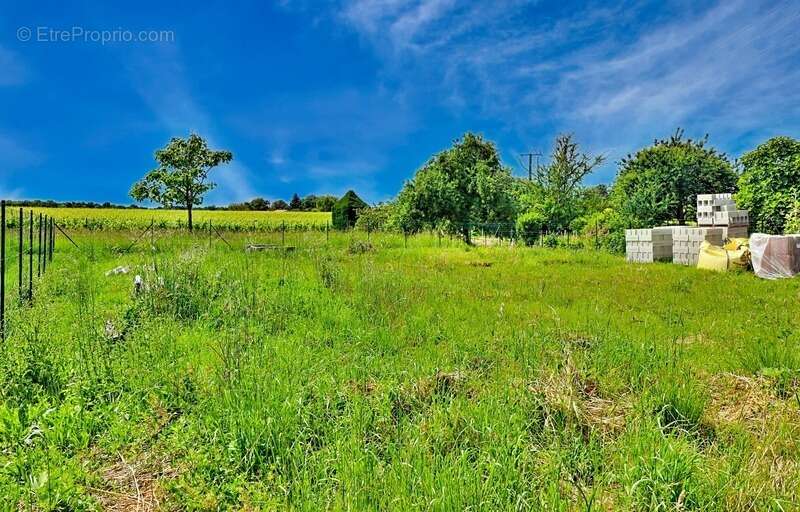 Longère de charme de 123m2 à rénover , vue degagee – potentiel gîte touristique - photo 3