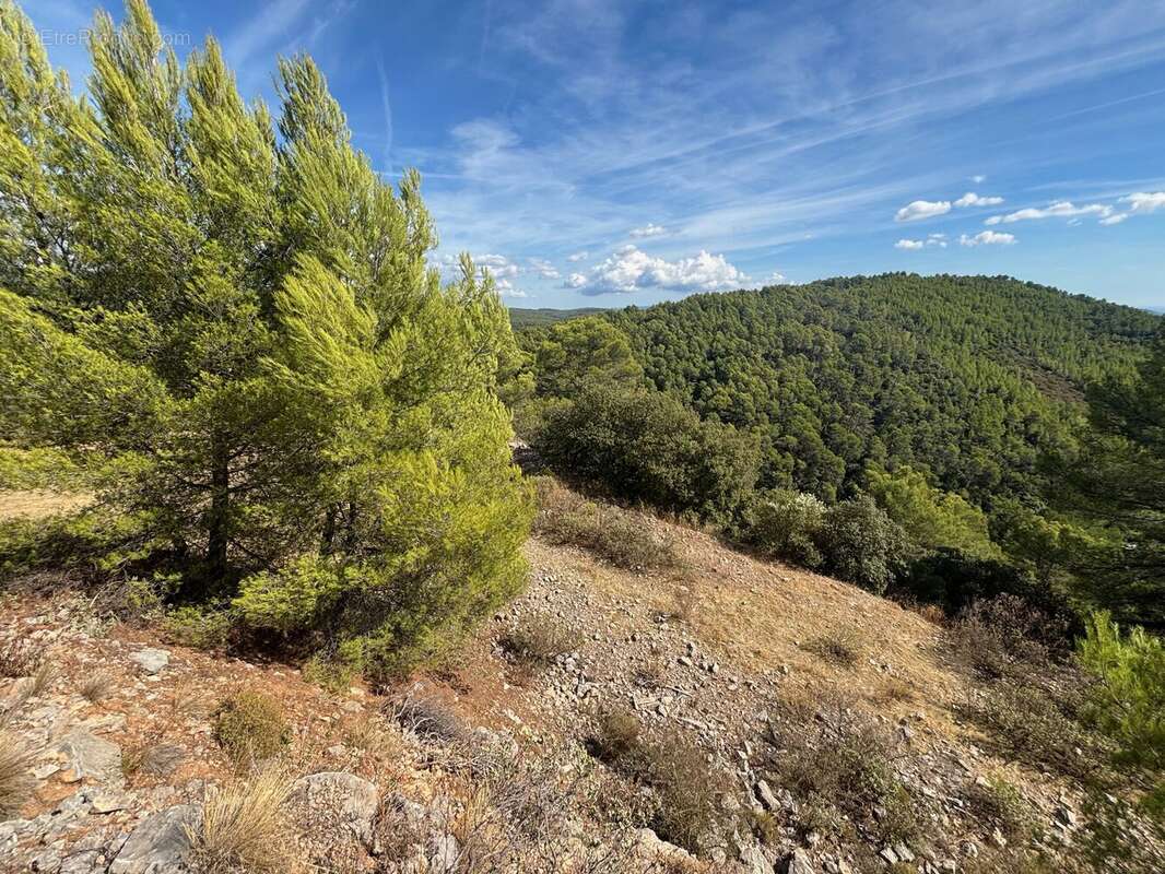 Figanières – terrain agricole et forestier de plus de 9 hectares - photo 3