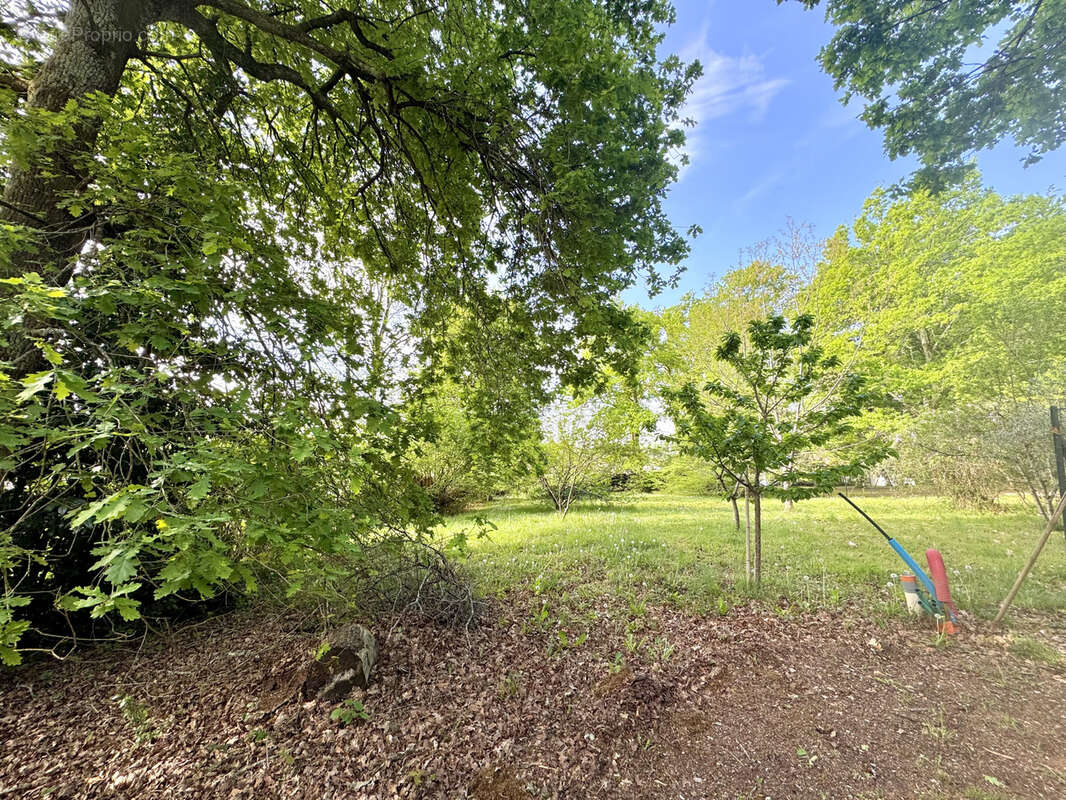 Terrain à CAMBLANES-ET-MEYNAC