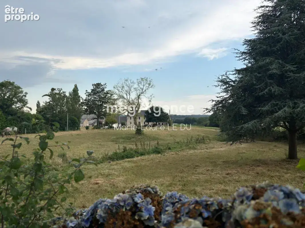 2 Maisons de caractere avec hangars sur terrain 18500m² environ - photo 6
