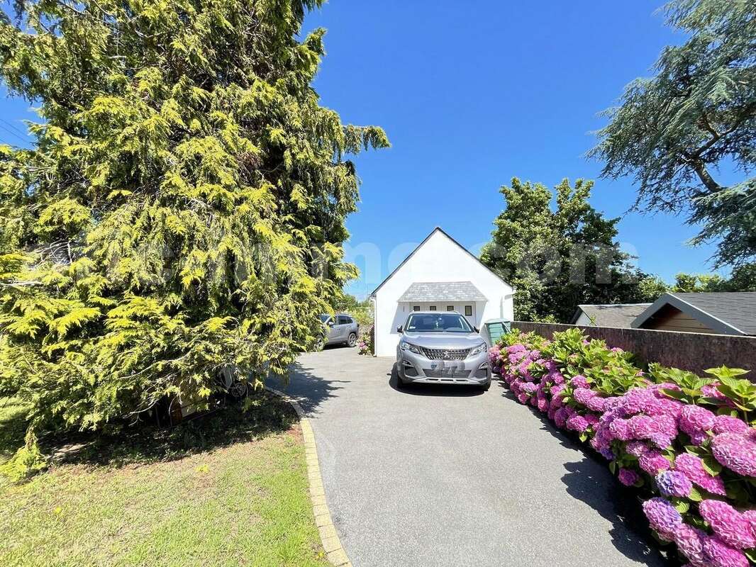 IMG_2217 - Maison à SARZEAU