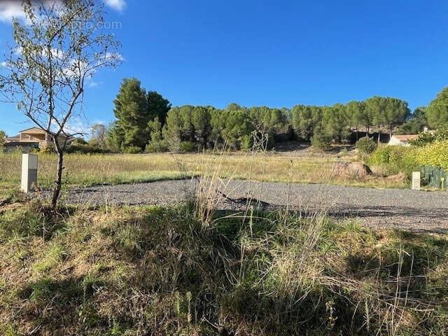 Terrain viabilise - 2 850m2 - a 6km de limoux - photo 4