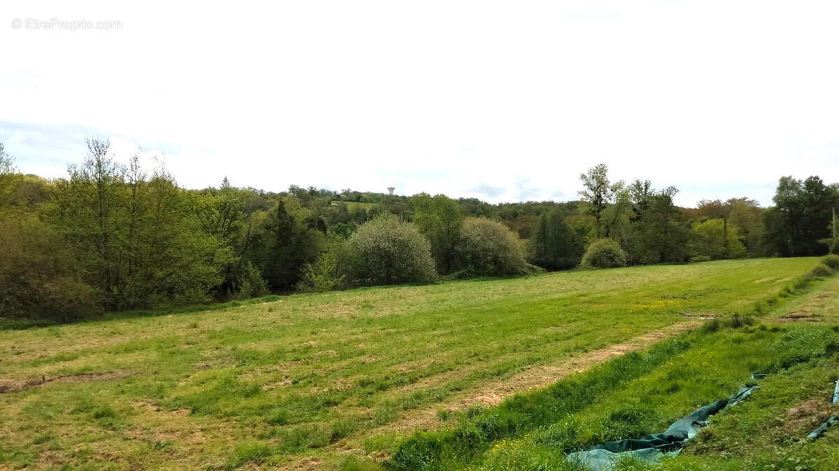 TERRAIN - Maison à LESSAC