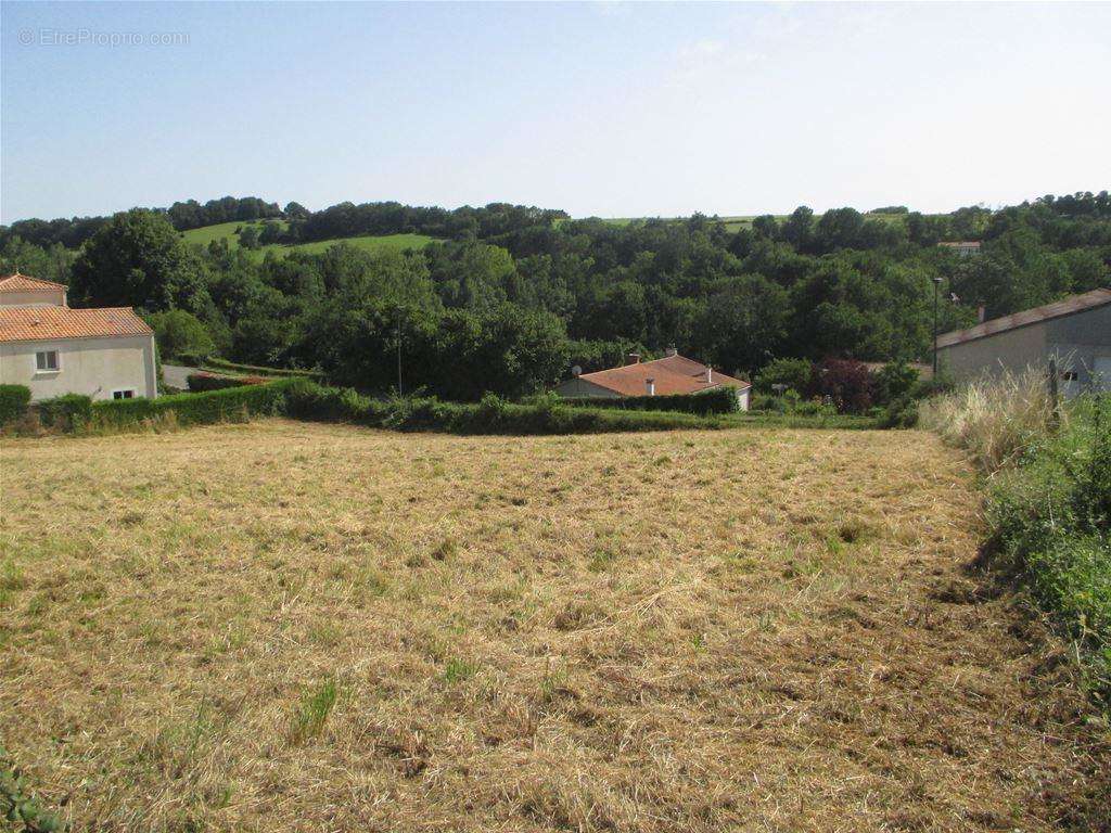 Belle exposition, au calme - Terrain à LA MEILLERAIE-TILLAY