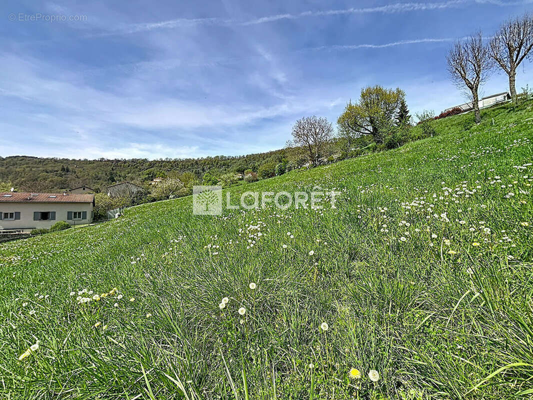 Terrain à POLIGNAC