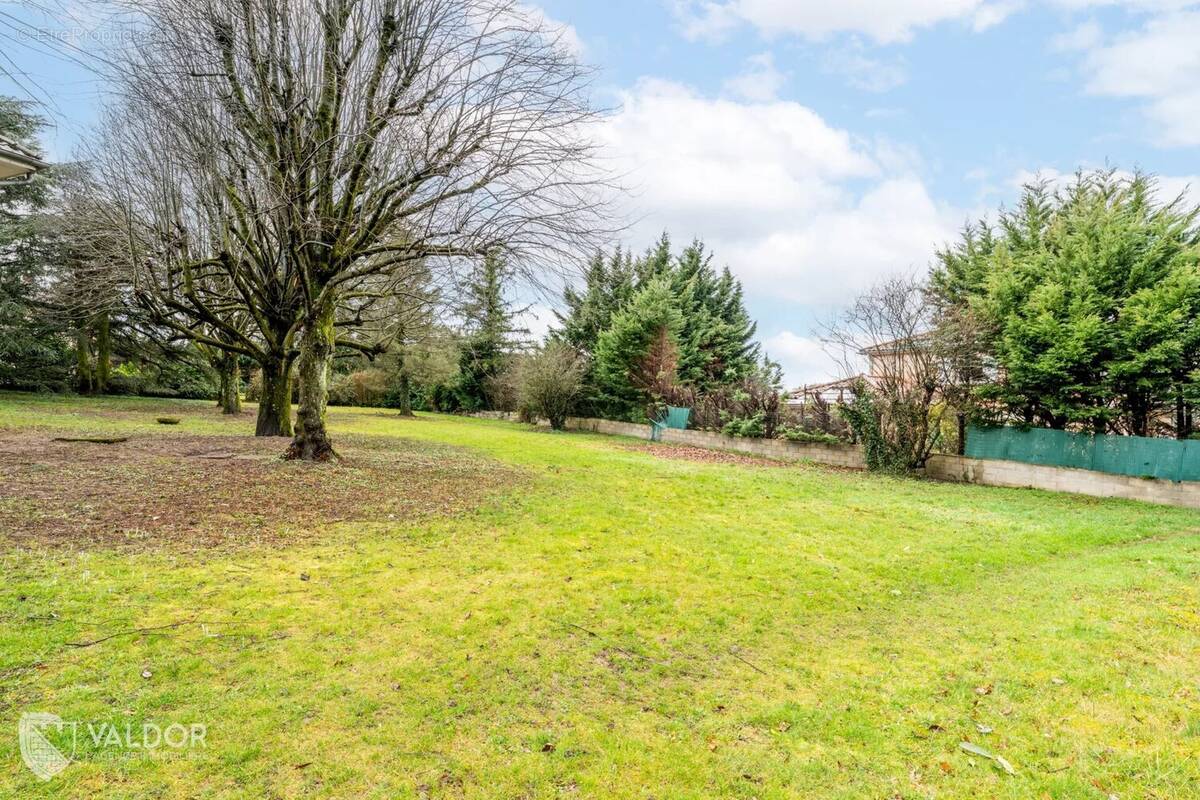 Terrain à LA TOUR-DE-SALVAGNY