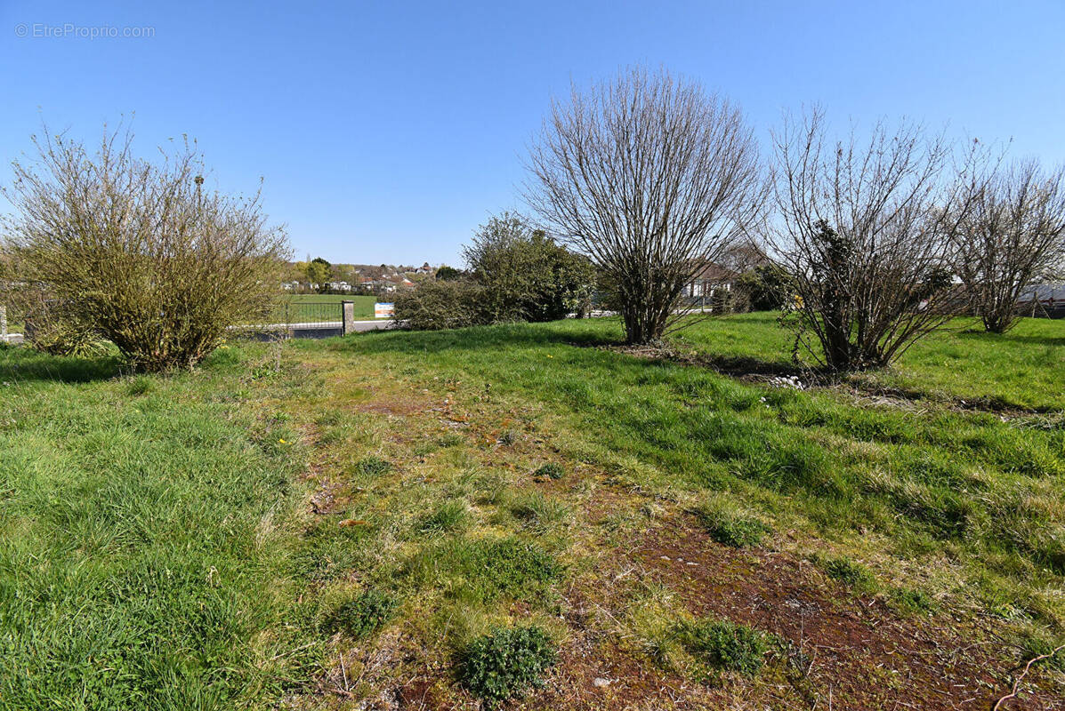 Terrain à RADONVILLIERS