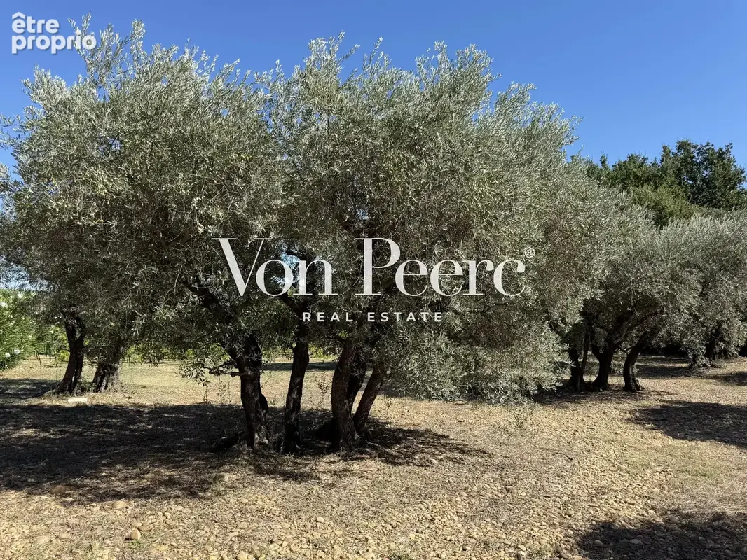 Maison avec vue alpilles  - saint remy - photo 16