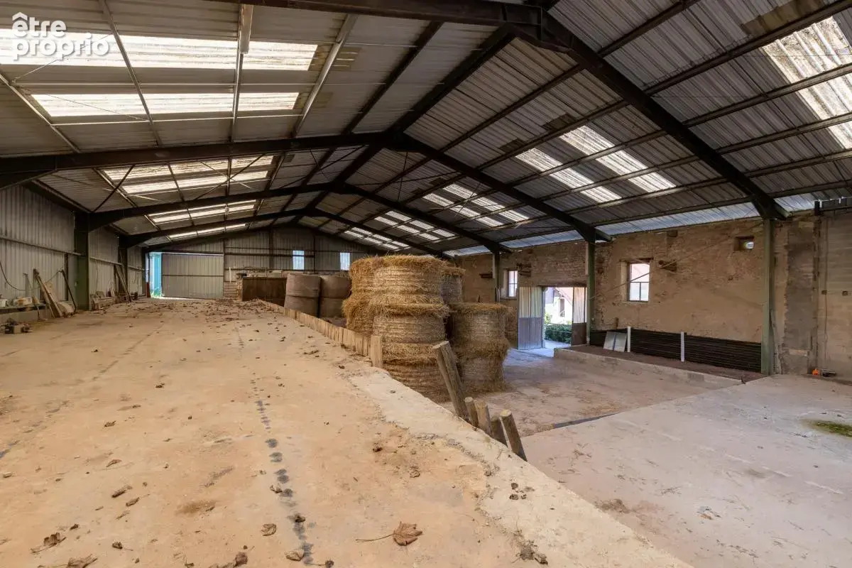 Domaine equestre - boxes-manege-carriere-appartement - photo 24