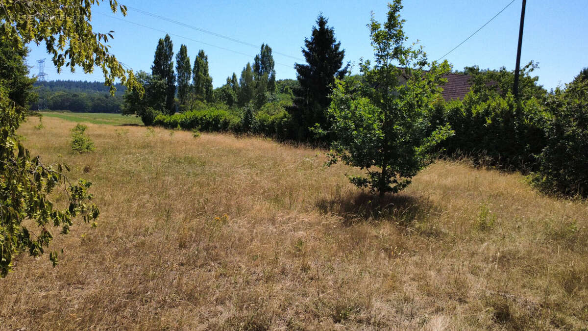Terrain Yville Sur Seine 7514 m2 - photo 3