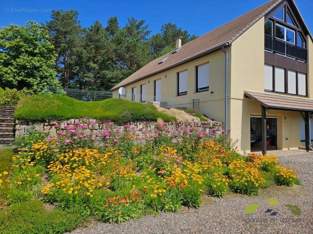 Maison à PEYRAT-LE-CHATEAU