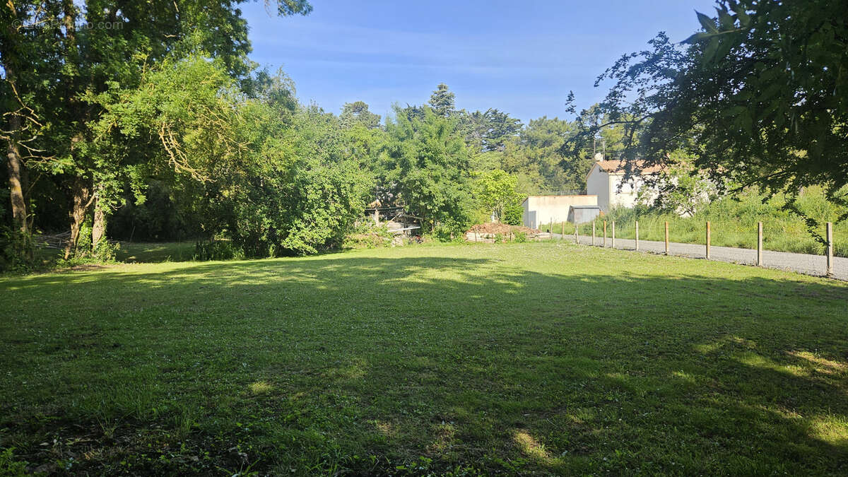 Terrain constructible de 1054 m2, proche forêt ! - photo 2