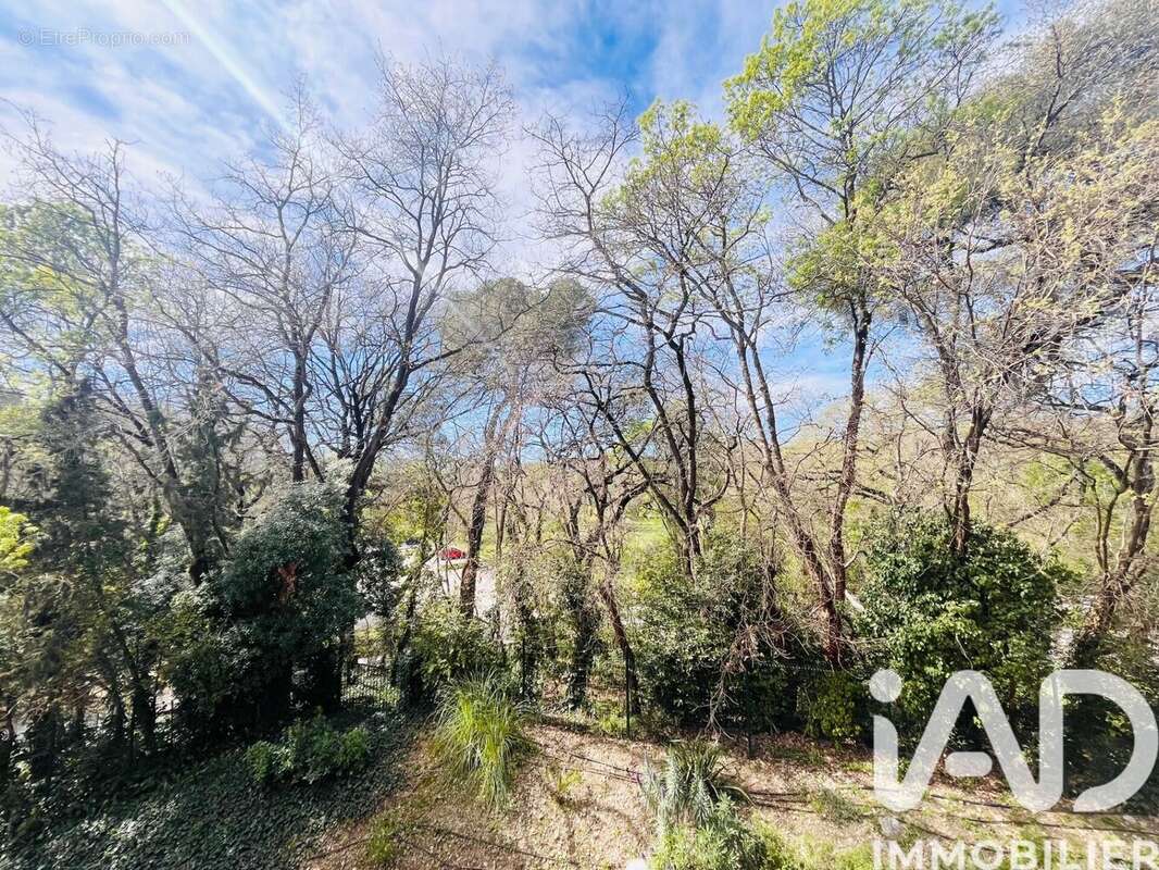 Photo 3 - Appartement à VILLENEUVE-LOUBET