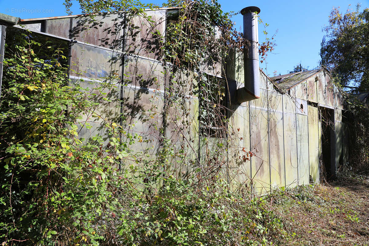 Terrain à SAINT-GEORGES-DE-DIDONNE