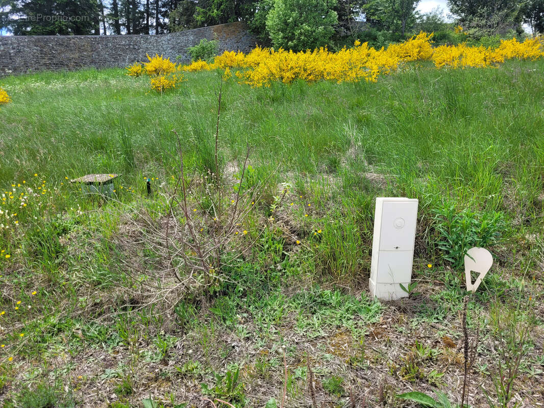 Terrain à LANGOGNE