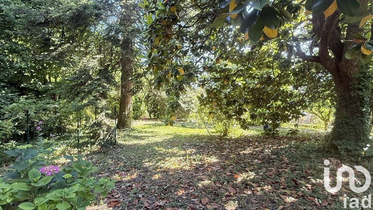 Photo 8 - Maison à AMBOISE