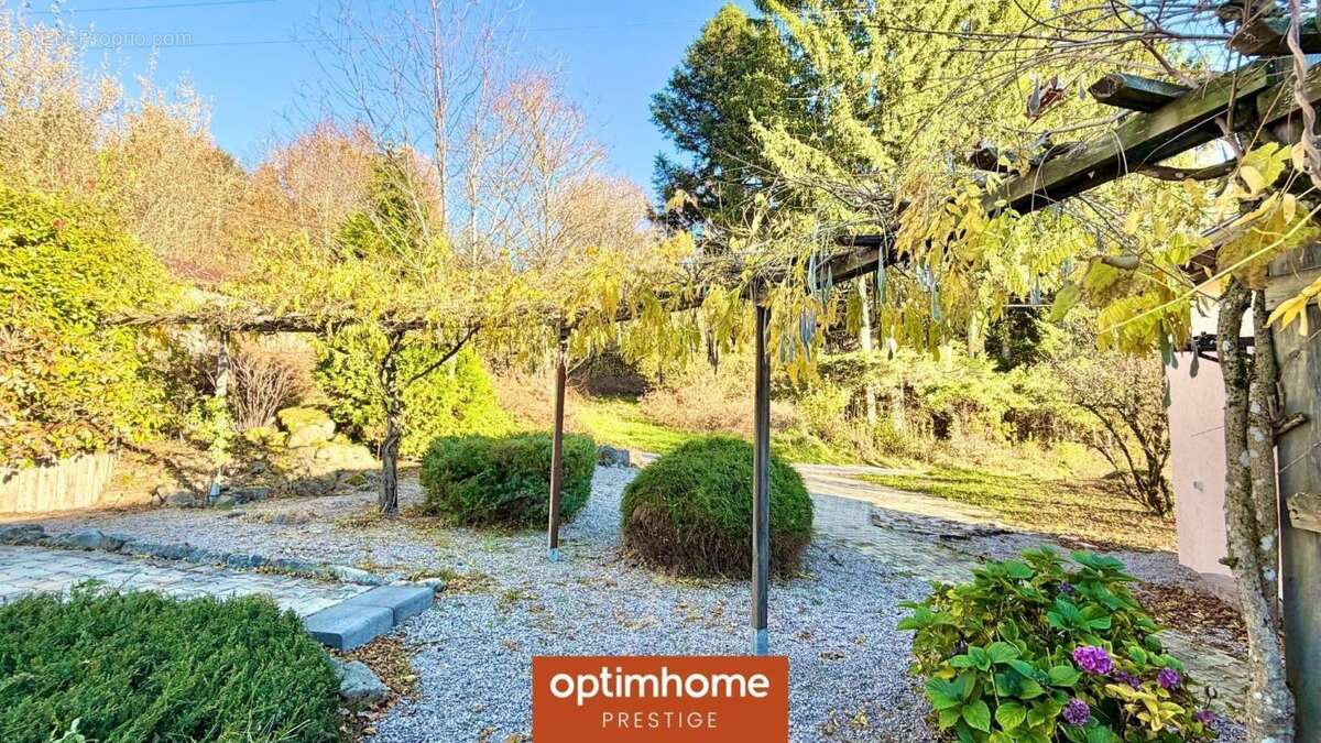 Domaine – 268 m² – 6 chambres et 6 salles de bain – Terrain 8 730 m² – Proche Gérardmer – Champdray - photo 5