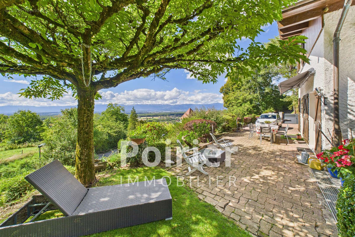 Maison à SAINT-CERGUES