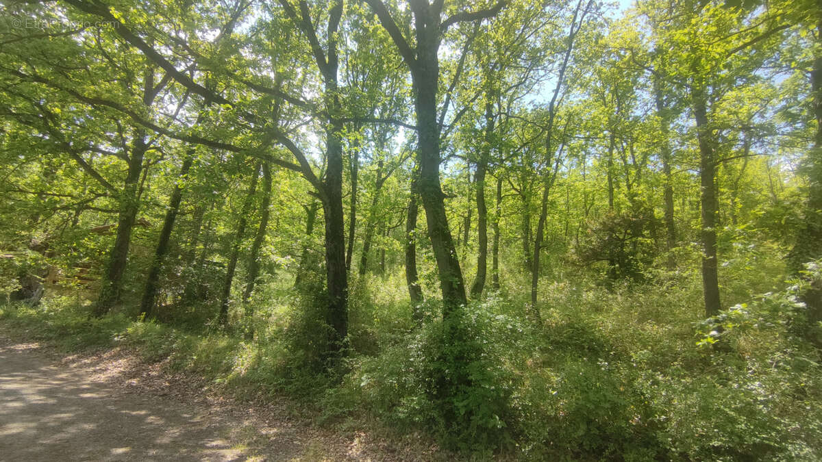Maison à CAMPAGNE-SUR-AUDE