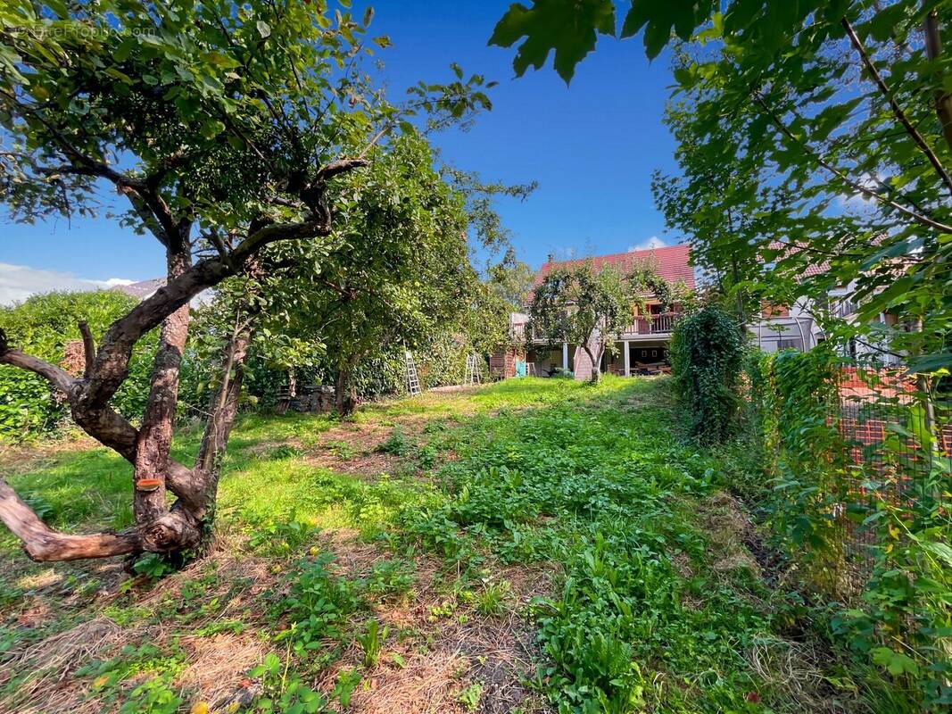 Maison à MONTFERMEIL