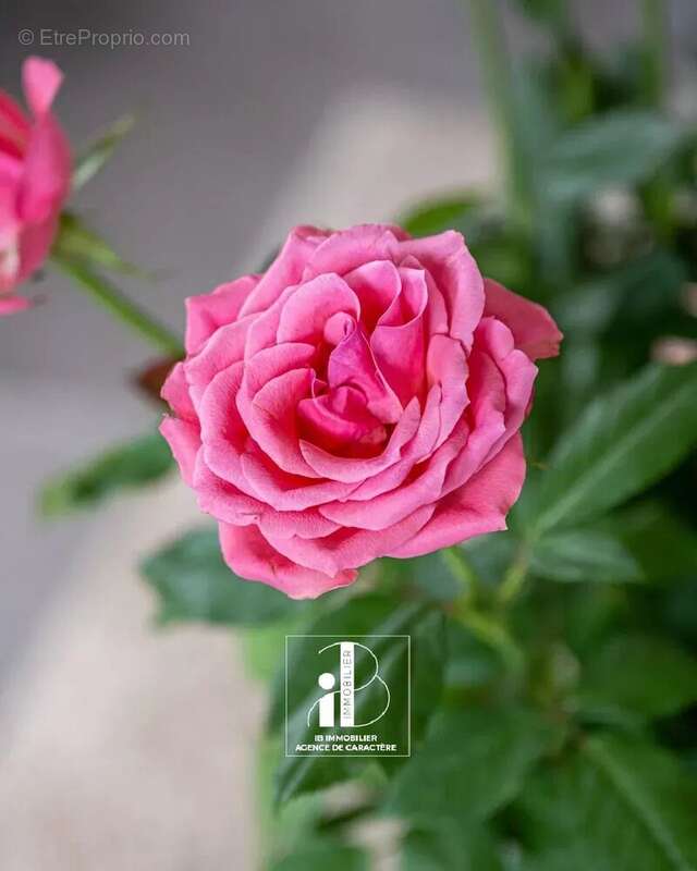 Maison à BOURRON-MARLOTTE