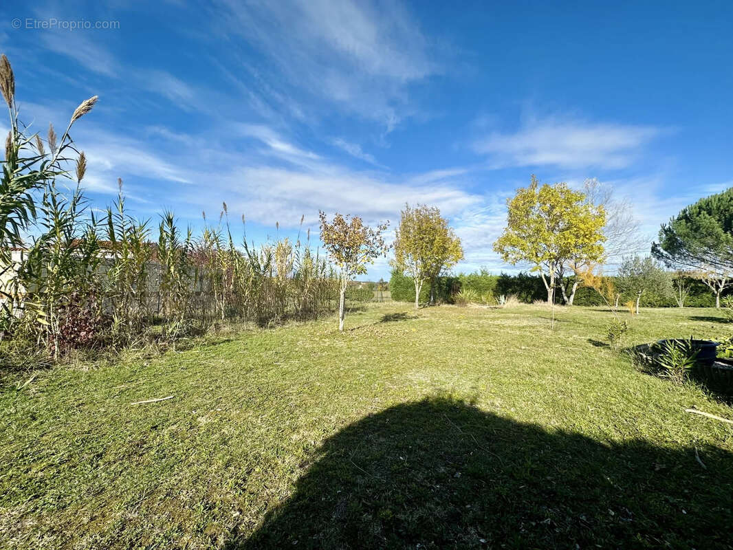 Terrain à LOMBEZ