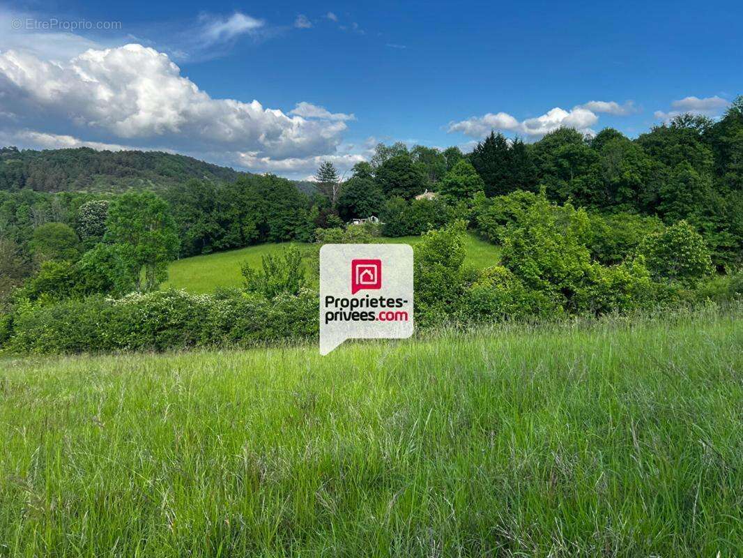 Beau terrain constructible et arboré de 3350 m² situé proche du bourg de SAINT-PAUL-DE-SERRE (24380) - photo 5