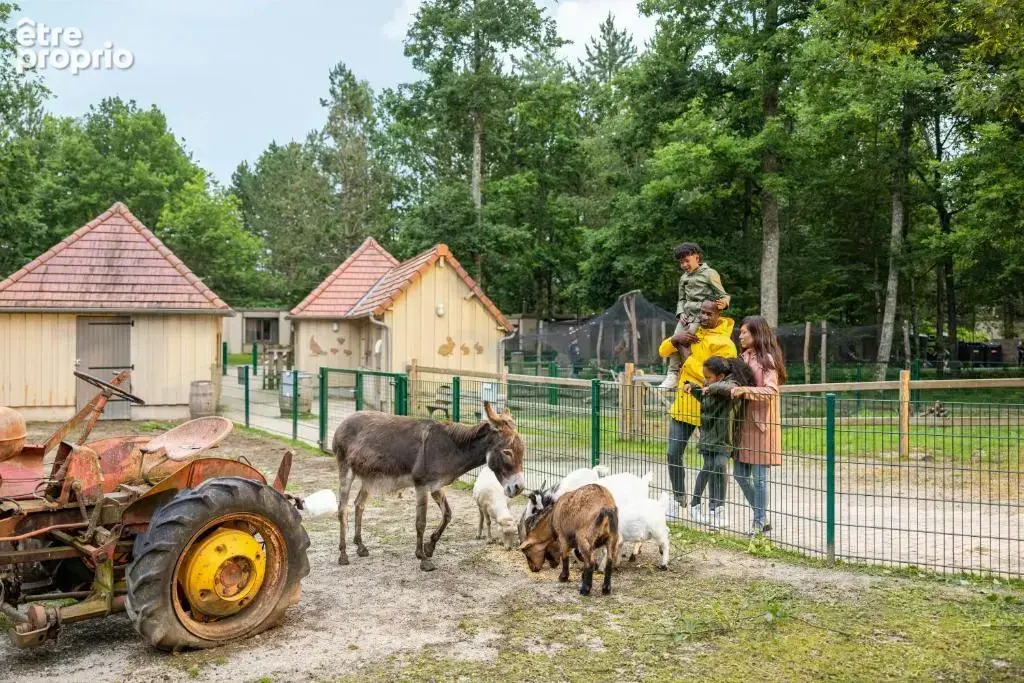 Investissement dans un Center Parcs - photo 14