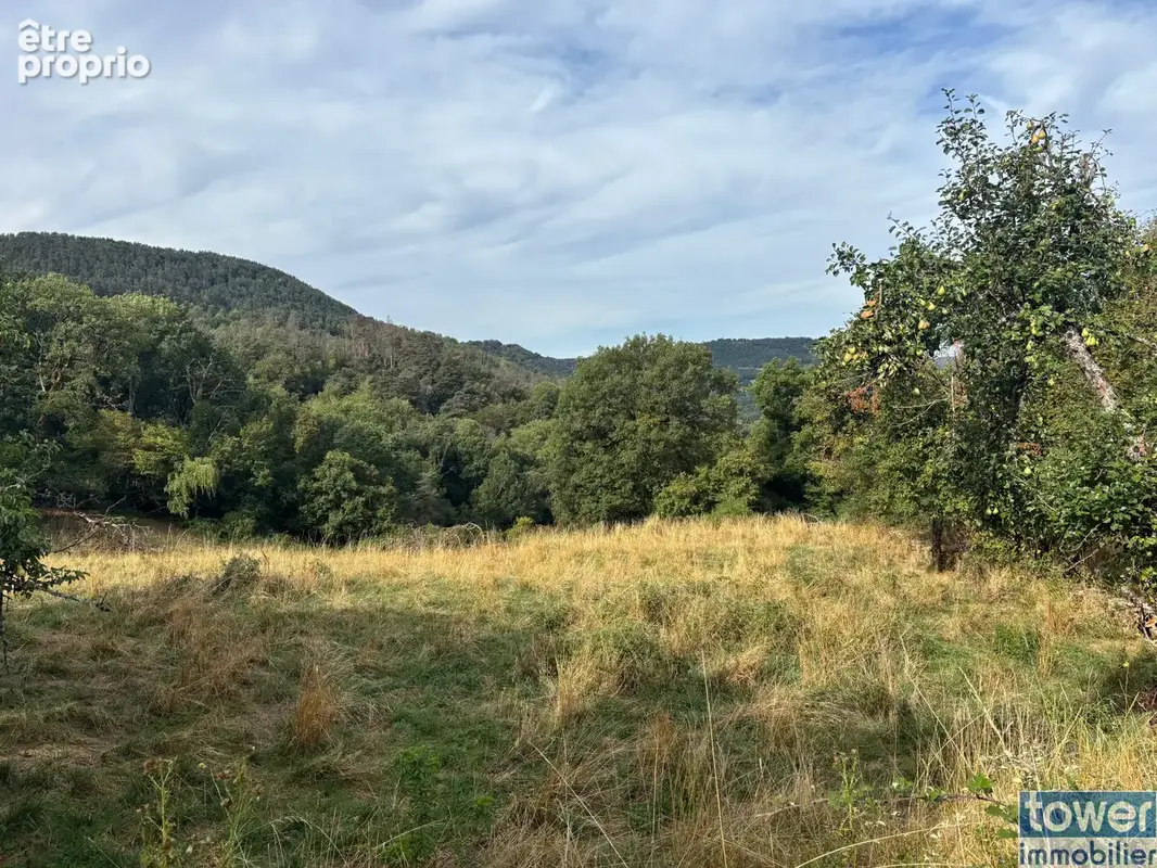 Maison avec dépendance sur 1200 m2 de terrain - photo 9