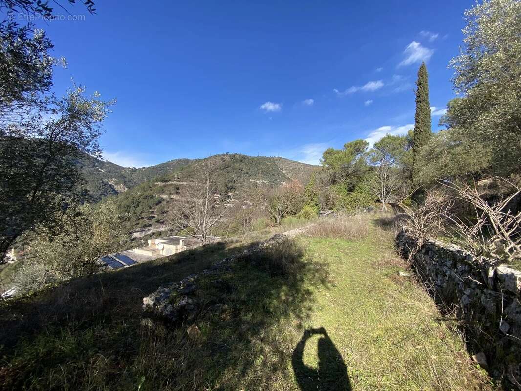 Terrain à DRAP