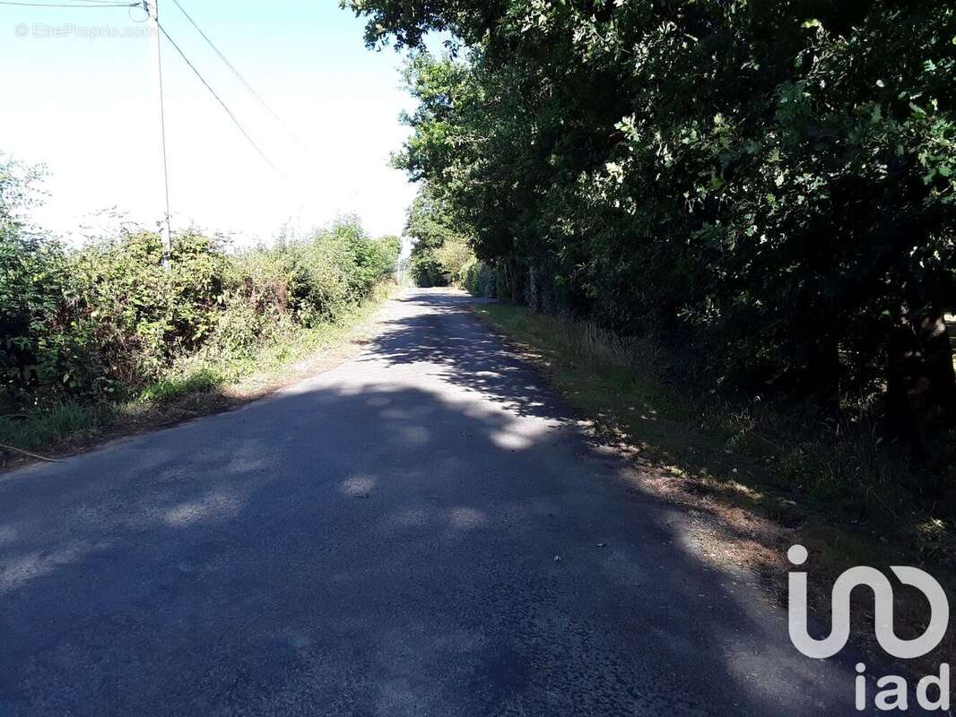 Photo 2 - Maison à CHEMILLE