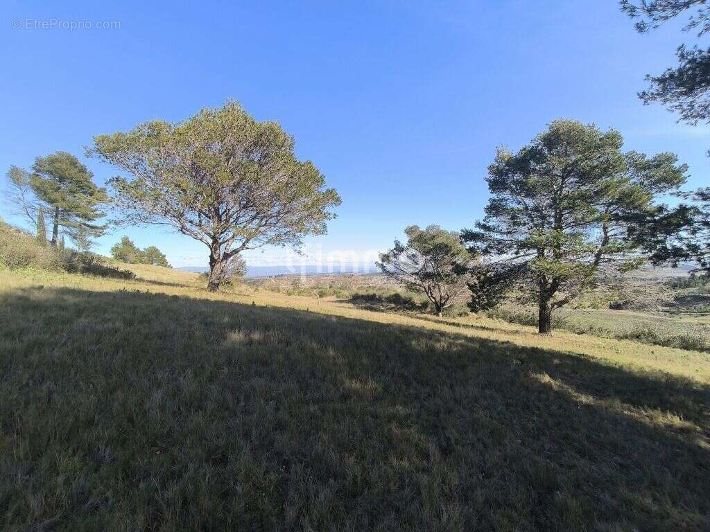 Terrain à MOUX