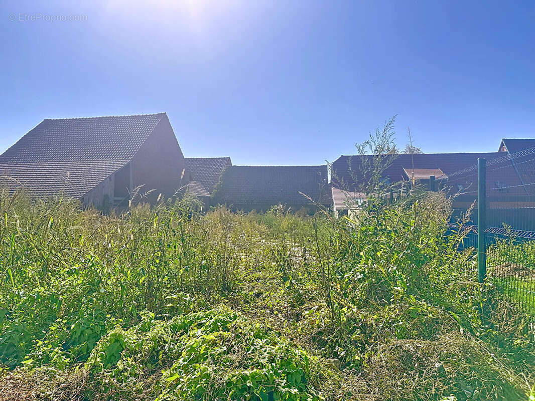 Terrain à BERSTETT