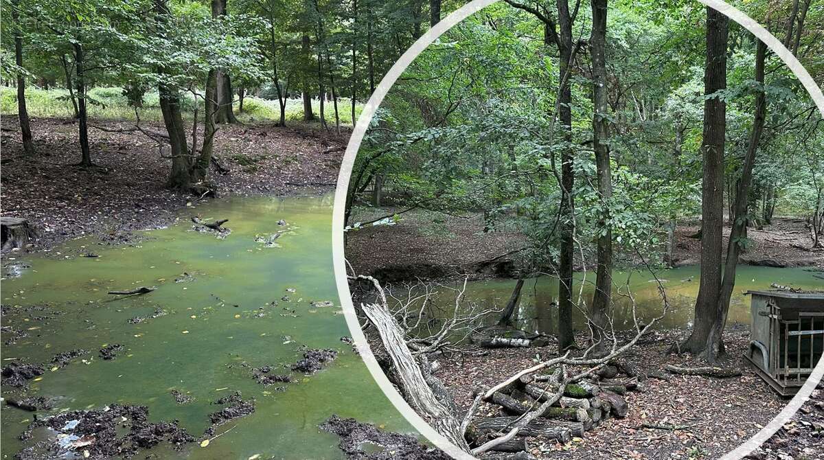 Terrain à HEUBECOURT-HARICOURT