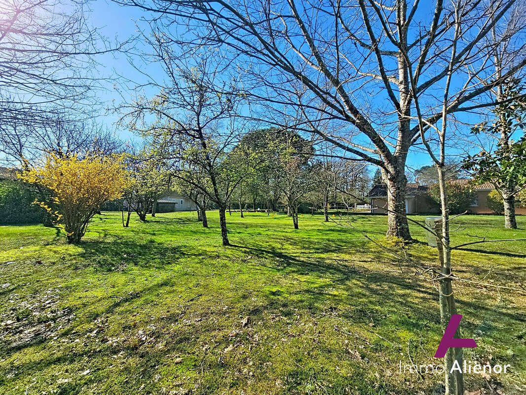 Terrain à BELIN-BELIET