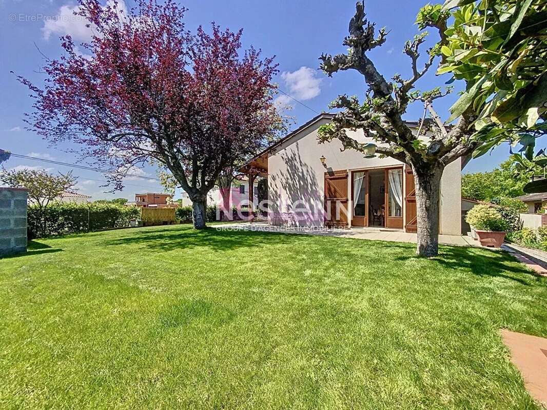 Maison à VILLENEUVE-TOLOSANE
